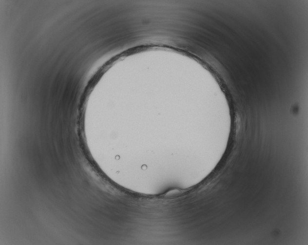 X0000115811020200912241909