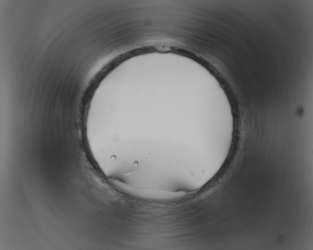 X0000115811022200912241909