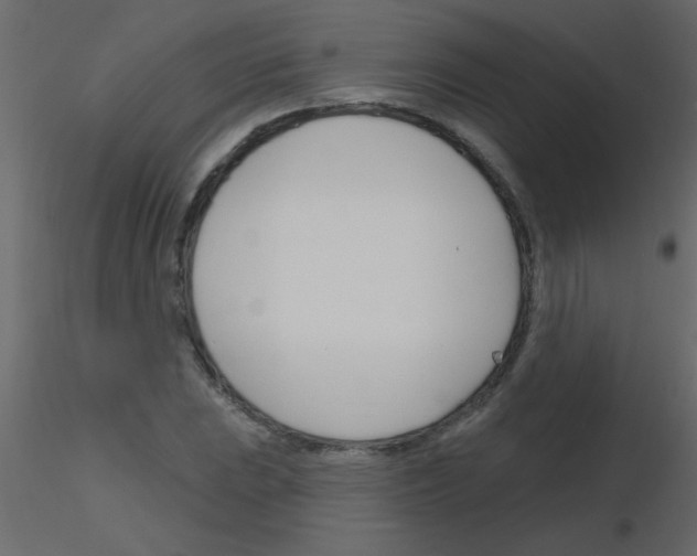 X0000115811023200912241909