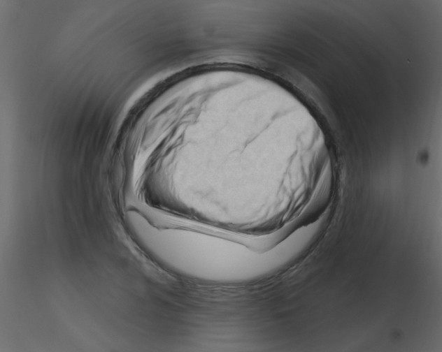 X0000115811024200912241909