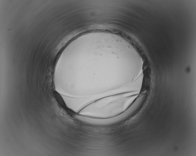 X0000115811025200912241909