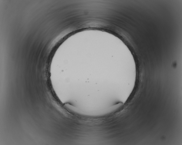 X0000115811026200912241909