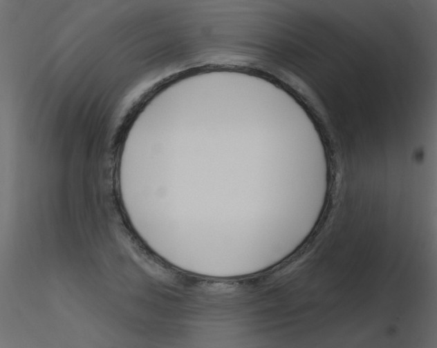 X0000115811027200912241909