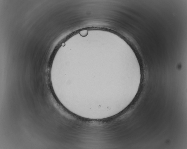 X0000115811029200912241909
