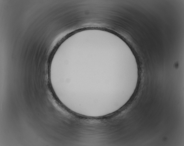 X0000115811030200912241909