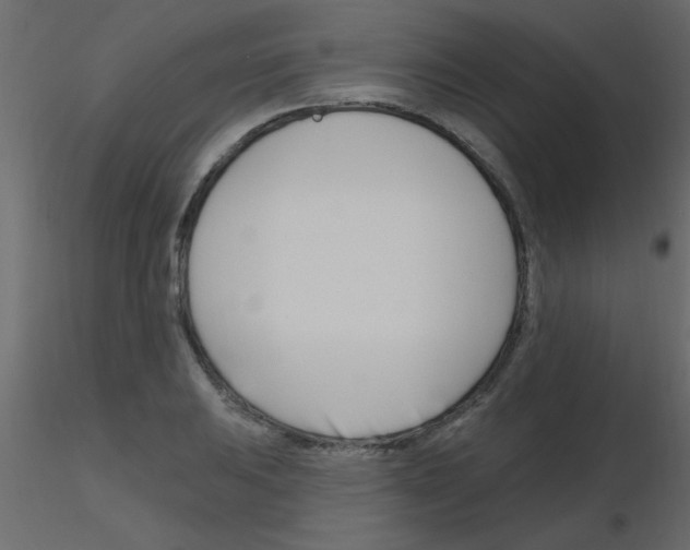 X0000115811031200912241909
