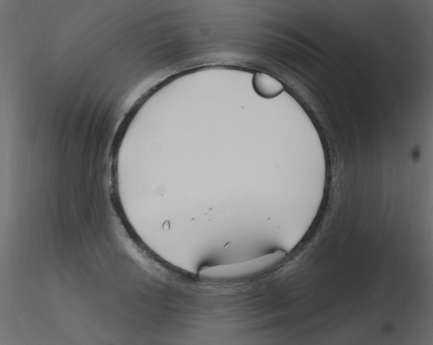 X0000115811034200912241909