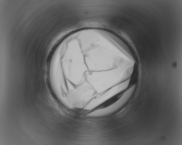 X0000115811035200912241909