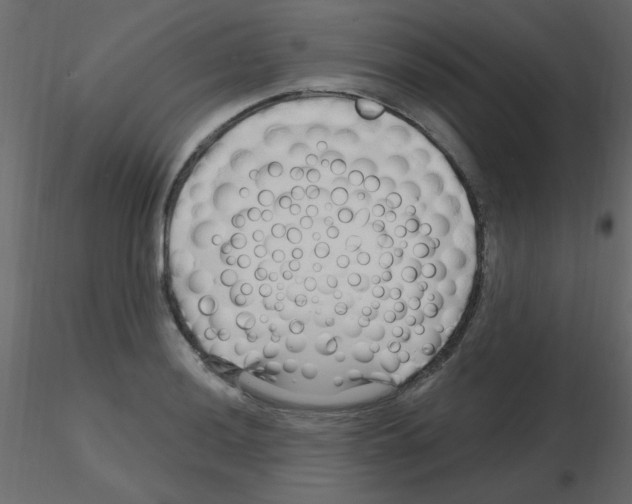 X0000115811036200912241909