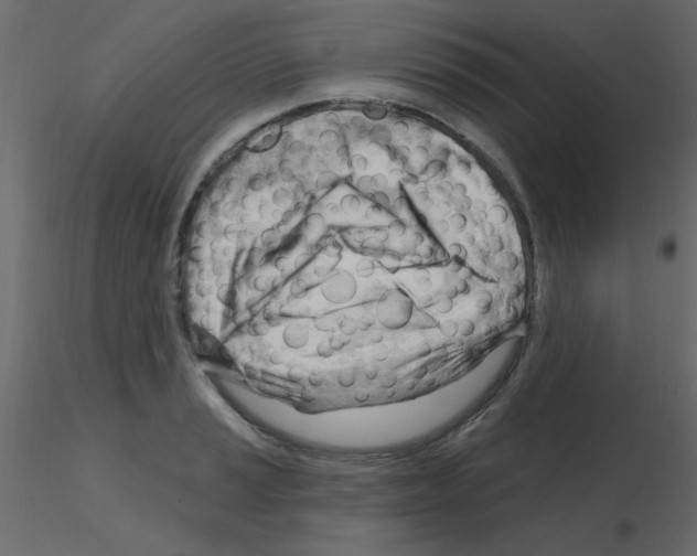 X0000115811037200912241910