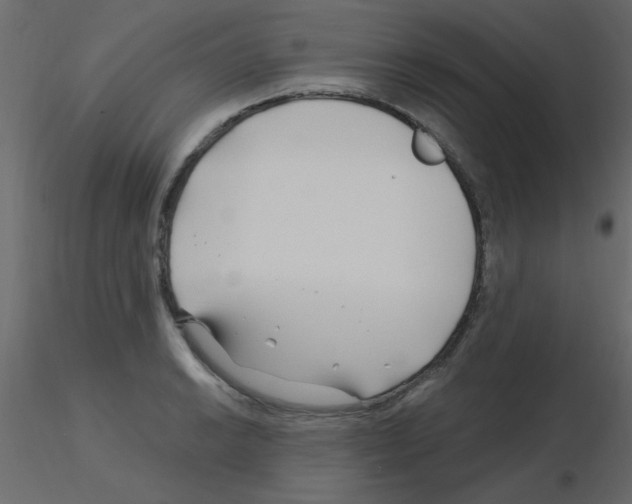 X0000115811038200912241910