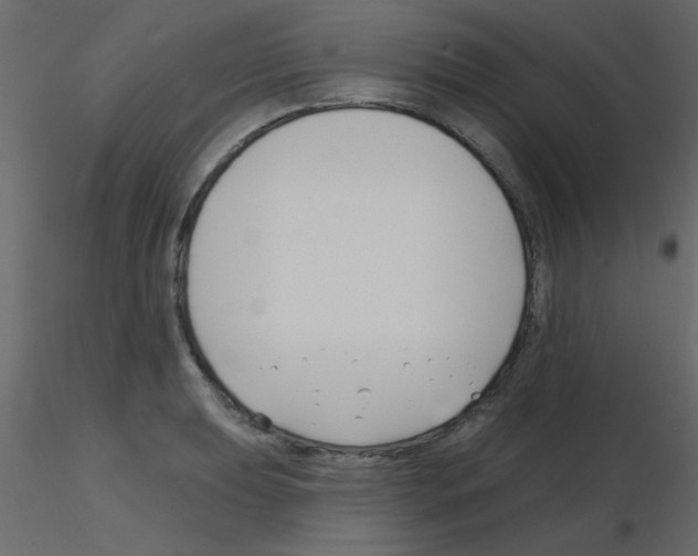 X0000115811039200912241910
