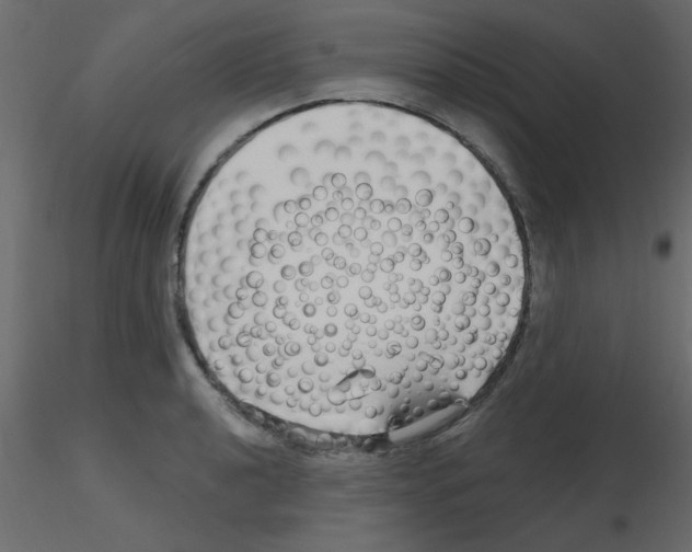 X0000115811040200912241910
