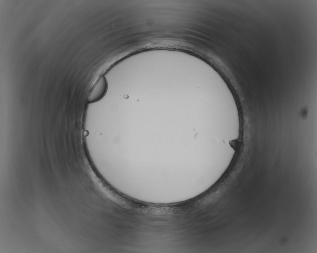 X0000115811041200912241910