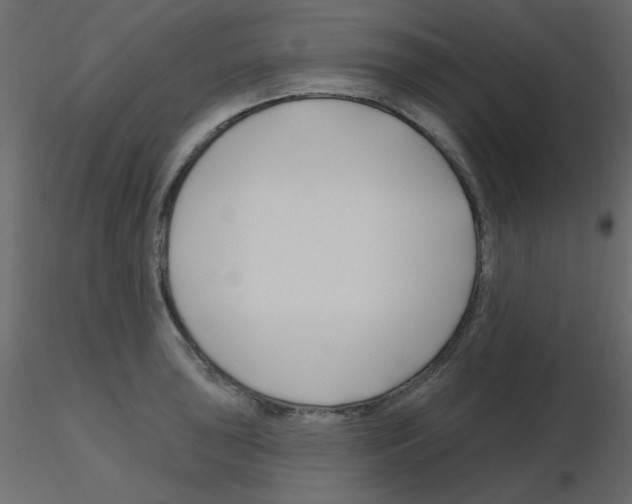 X0000115811043200912241910
