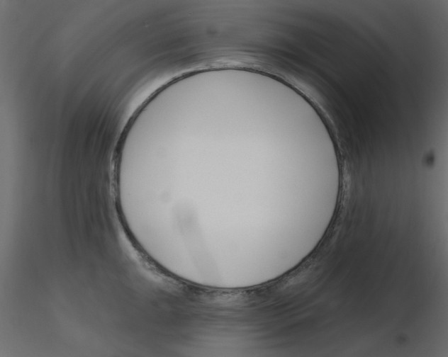 X0000115811047200912241910