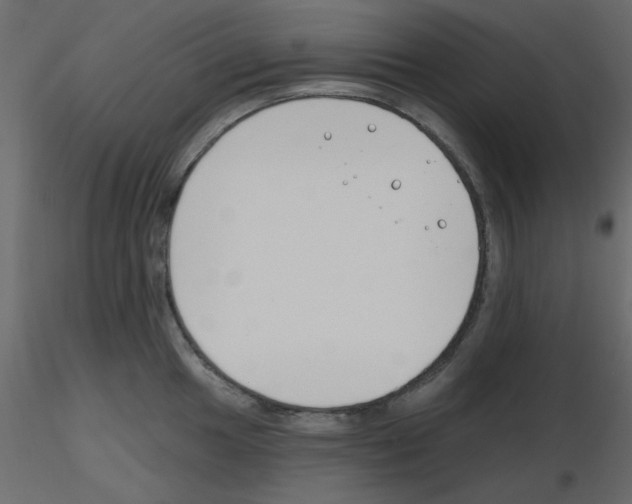 X0000115811049200912241910