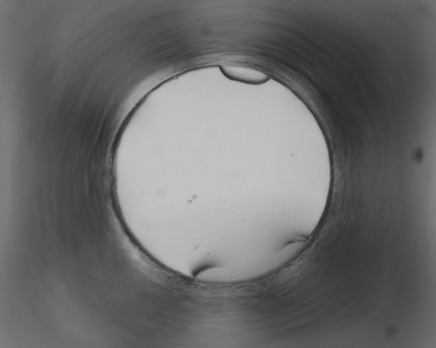 X0000115811050200912241910