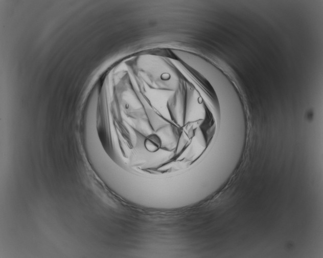 X0000115811051200912241910