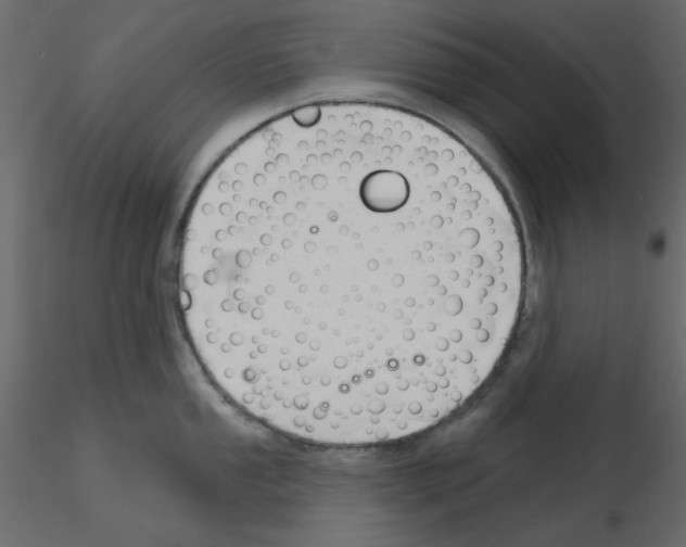X0000115811053200912241910