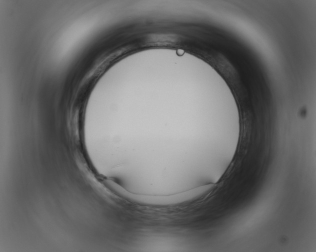 X0000115811054200912241910