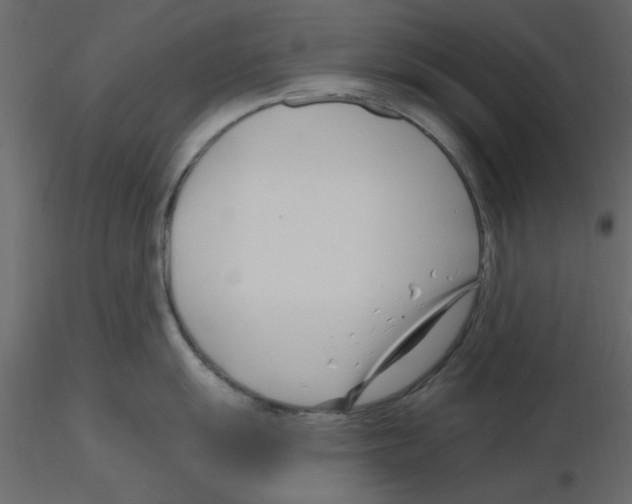 X0000115811055200912241910