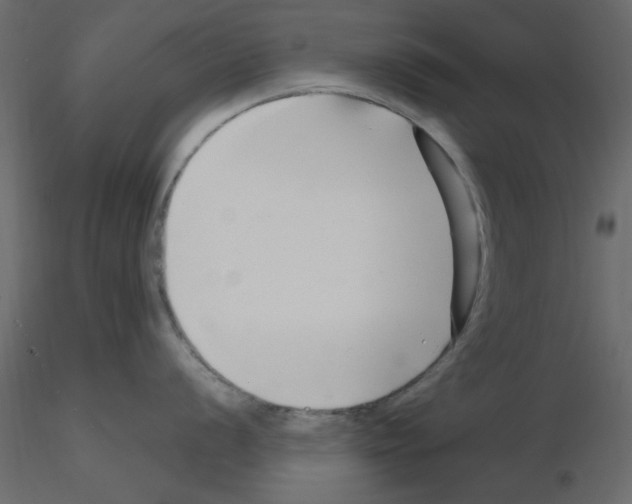 X0000115811056200912241910