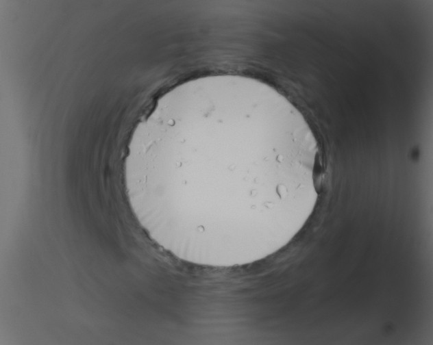 X0000115811057200912241909