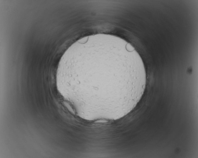 X0000115811058200912241909