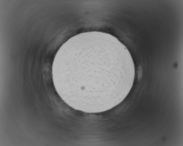 X0000115811059200912241909