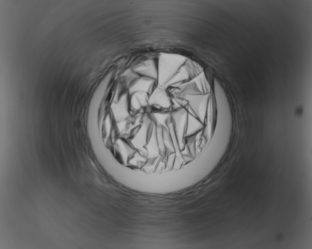 X0000115811060200912241909