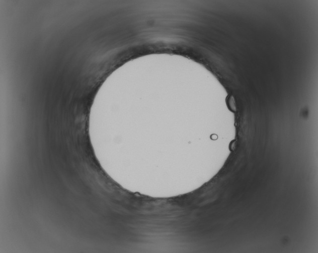 X0000115811061200912241909