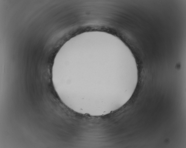 X0000115811062200912241909
