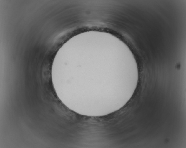 X0000115811063200912241909