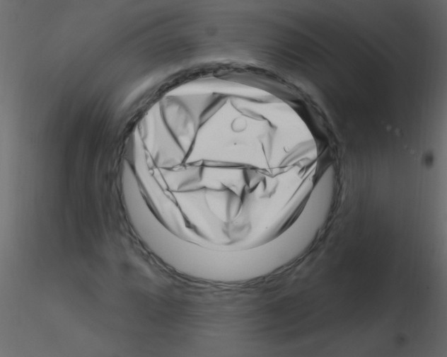 X0000115811064200912241909