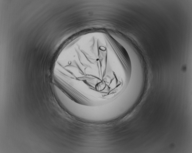 X0000115811065200912241909
