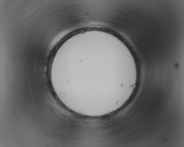 X0000115811066200912241909