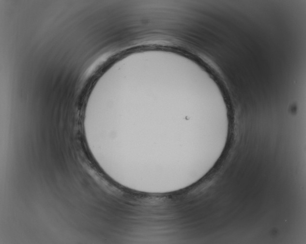 X0000115811067200912241909