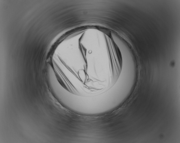 X0000115811068200912241909