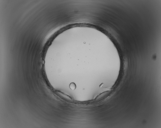 X0000115811069200912241909
