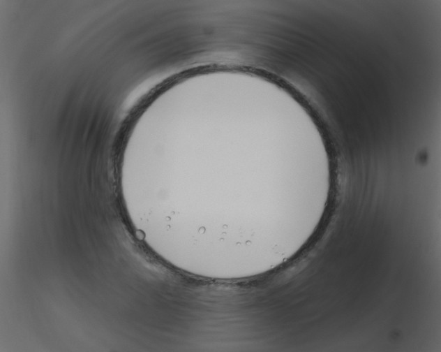 X0000115811070200912241909