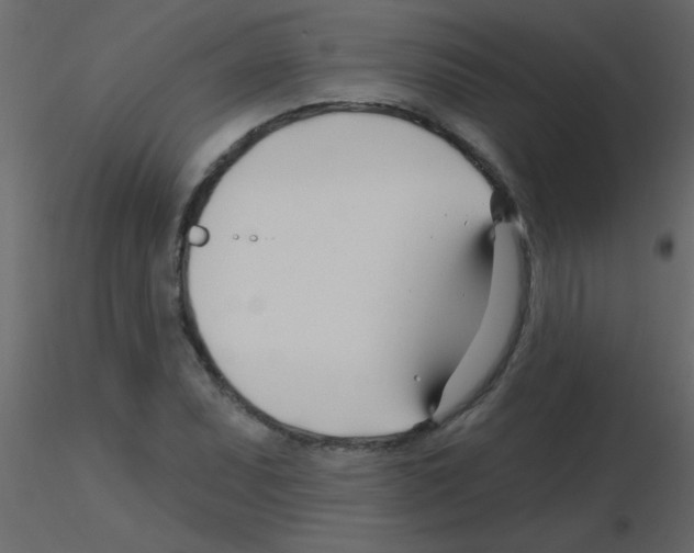 X0000115811071200912241909