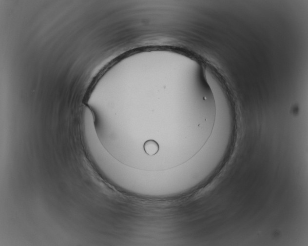 X0000115811073200912241909