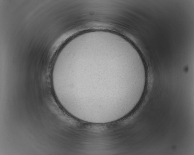 X0000115811074200912241909