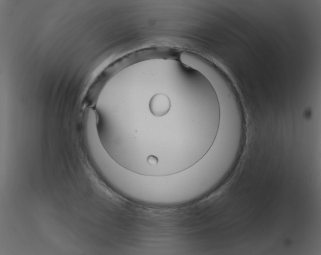 X0000115811075200912241909