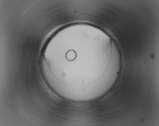 X0000115811076200912241909