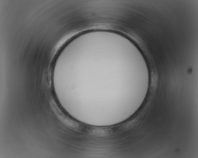 X0000115811078200912241909