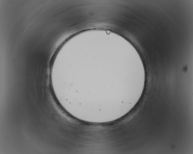 X0000115811079200912241909