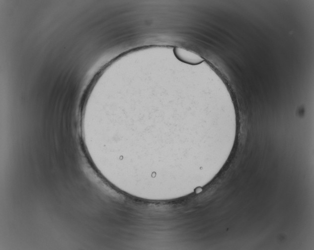 X0000115811080200912241909