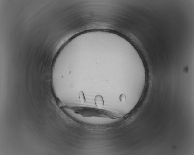 X0000115811081200912241909